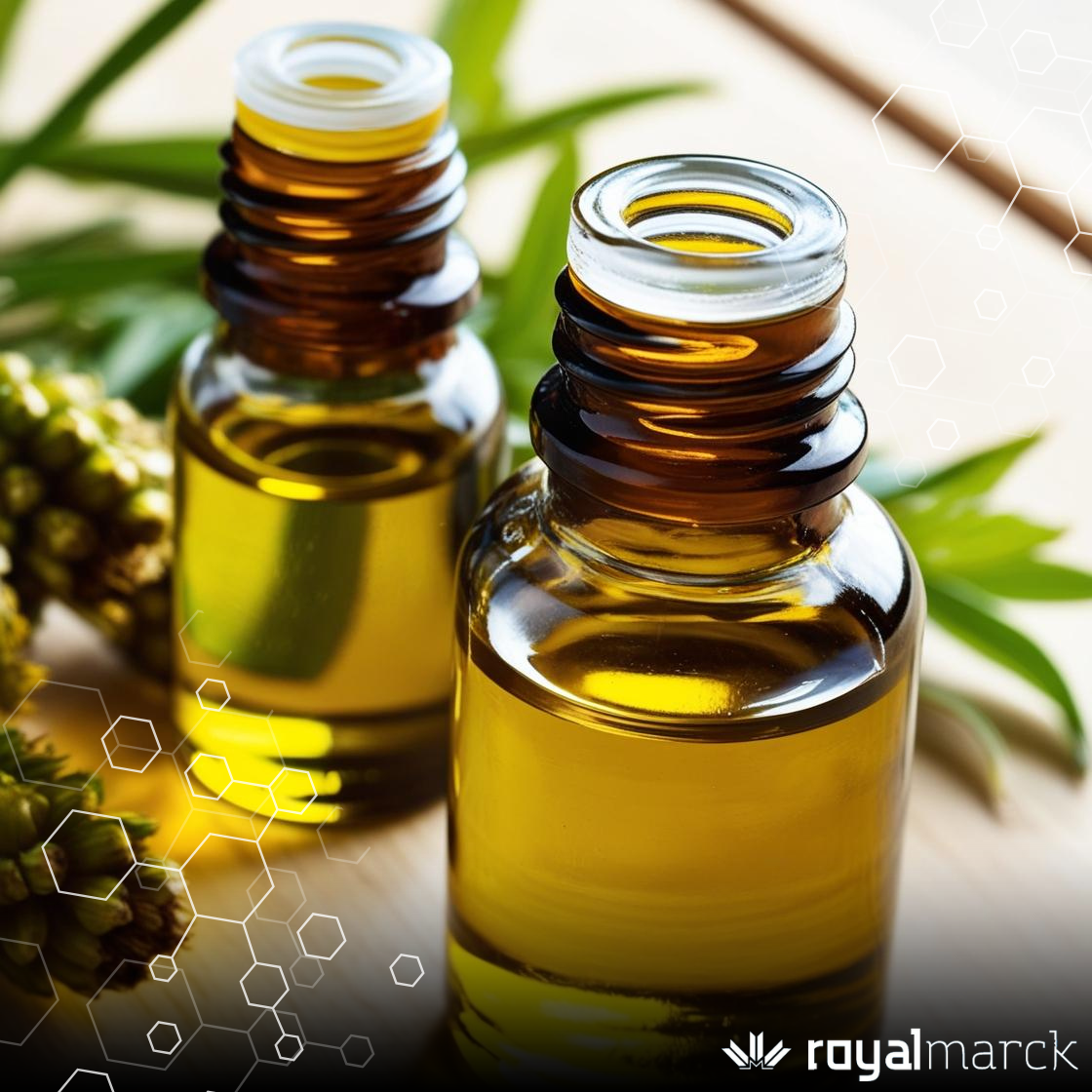 Matérias-Primas Naturais